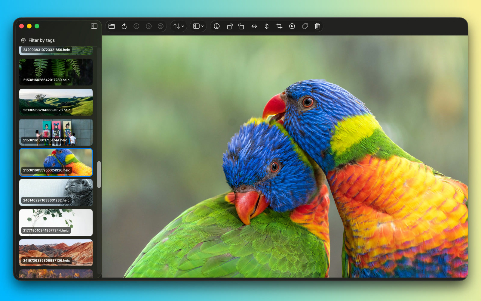 Picser macOS app interface screenshot